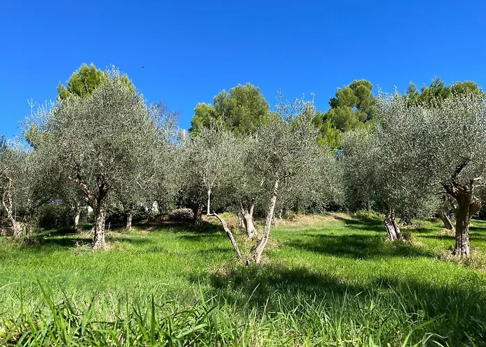Villa Monacelli